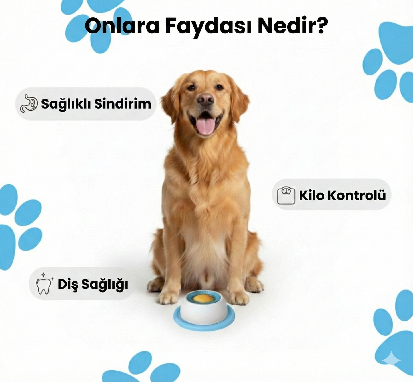 Anksiyete Karşıtı İnteraktif Yalama Kasesi