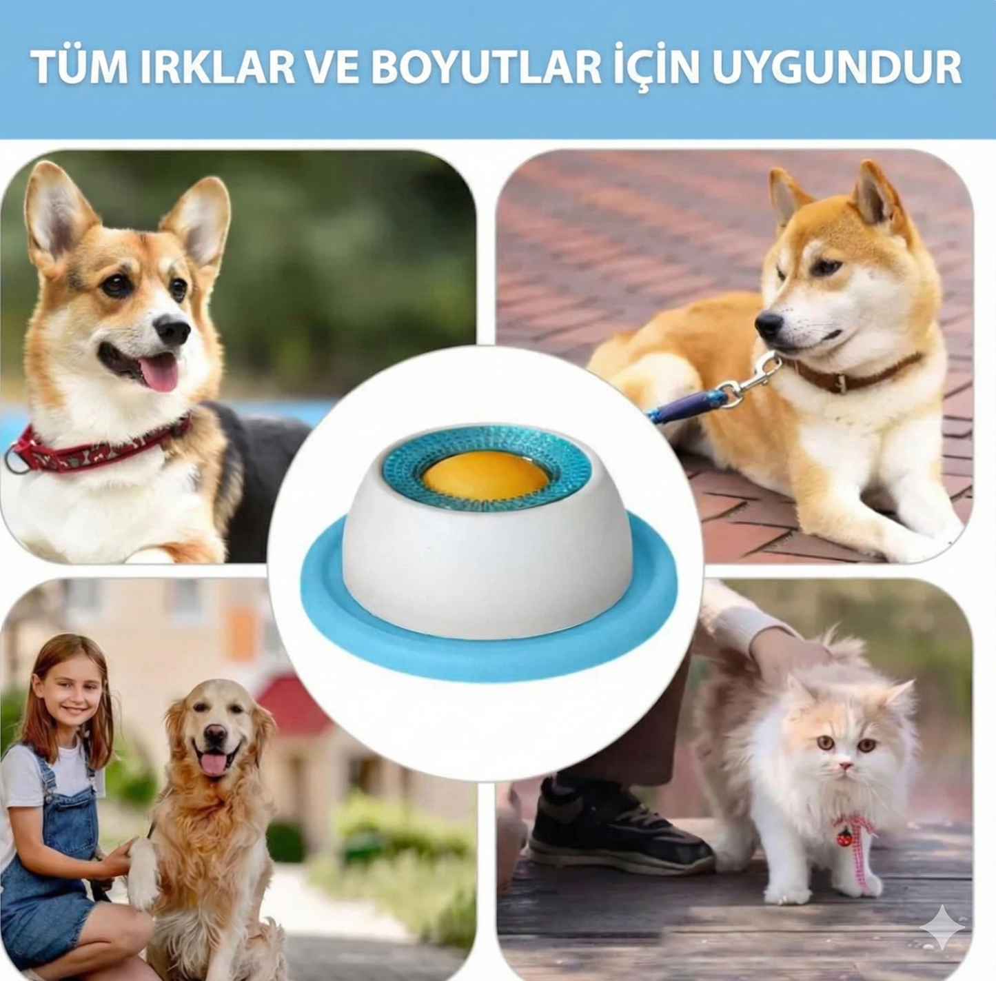 Anksiyete Karşıtı İnteraktif Yalama Kasesi