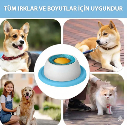 Anksiyete Karşıtı İnteraktif Yalama Kasesi